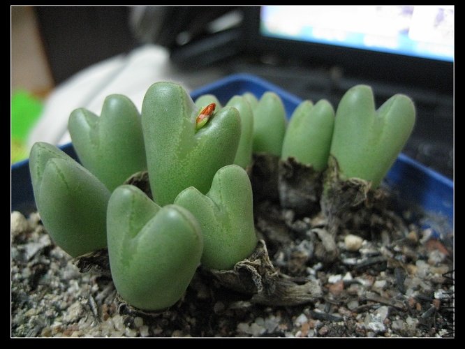 2011��8�� 015.jpg