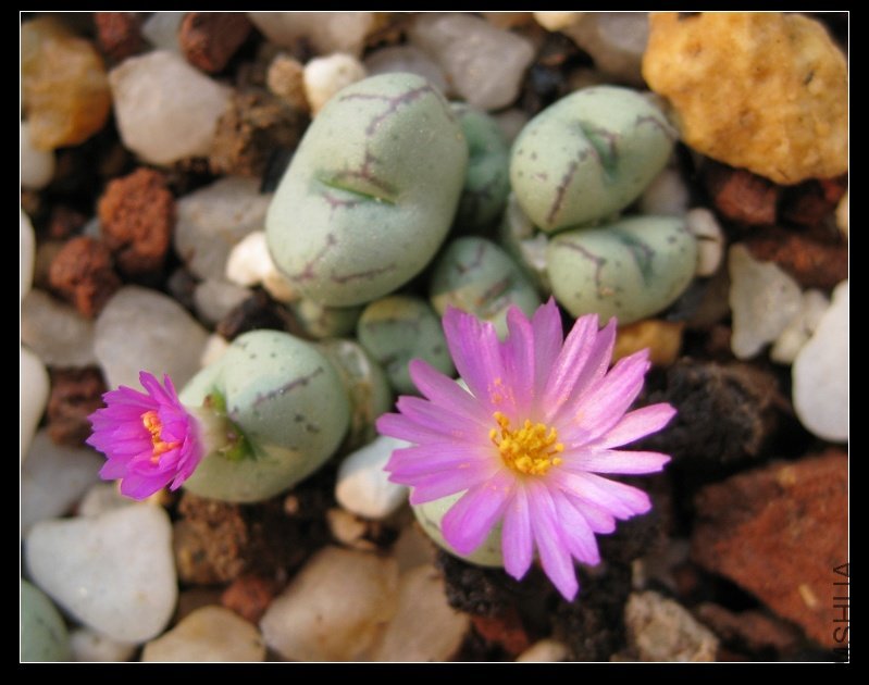 2011��6�� 180.jpg