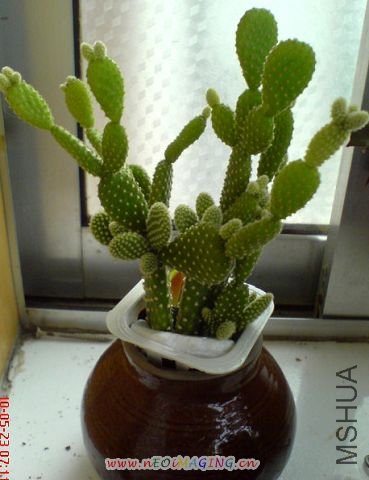 DSC01386.JPG