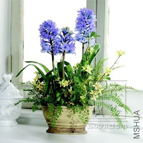 Hyacinth_Arrangement.jpg