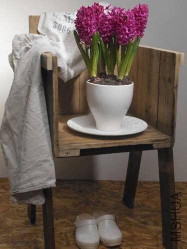 HyacinthsInFoyer.jpg