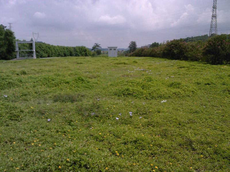 SP_A02571.jpg