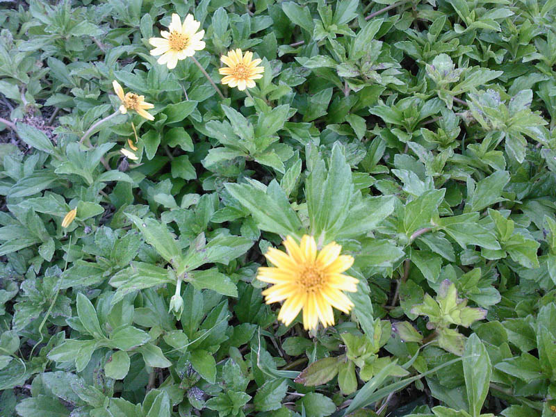 SP_A02511.jpg