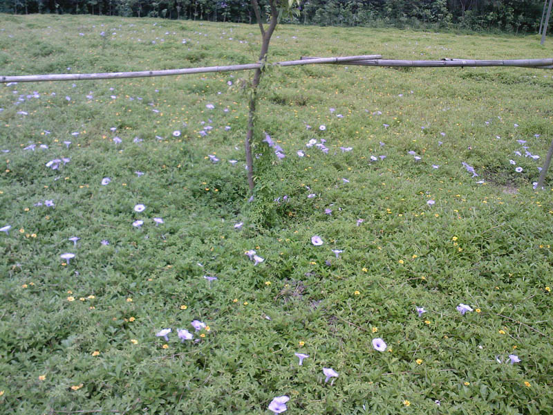 SP_A02601.jpg
