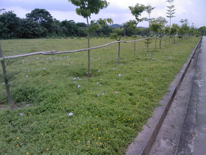 SP_A02611.jpg