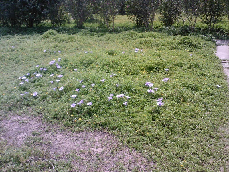 SP_A025611.jpg
