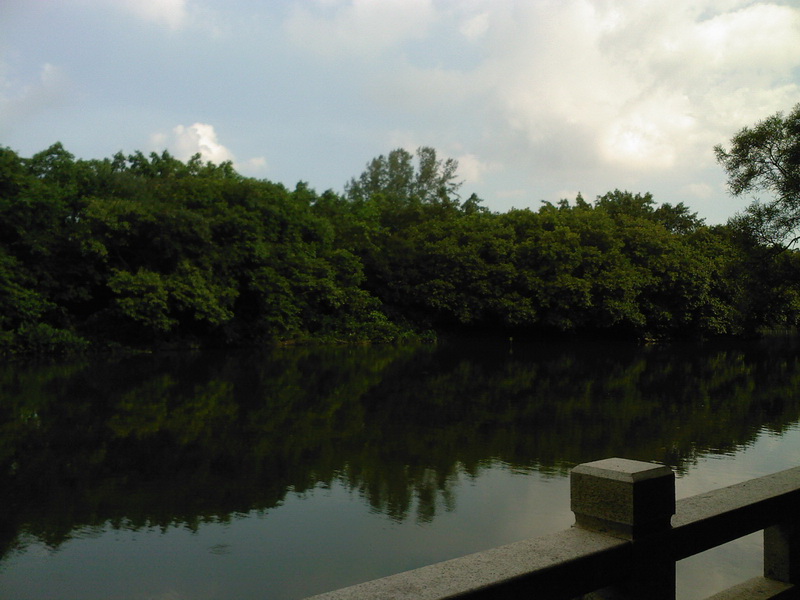 SP_A0245.jpg