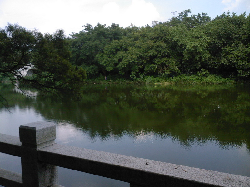 SP_A0247.jpg