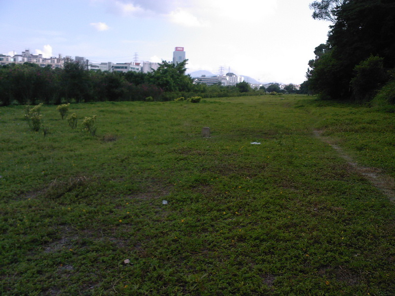 SP_A0248.jpg