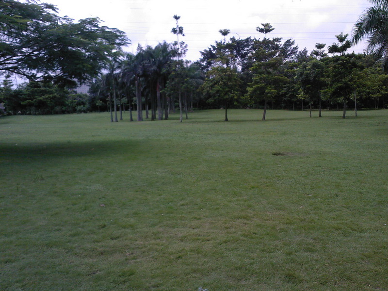 SP_A0262.jpg