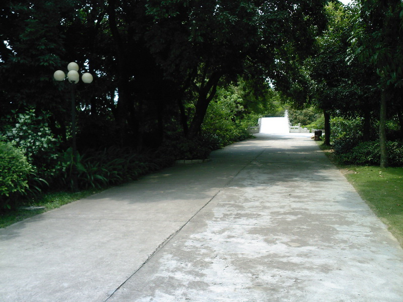 SP_A0263.jpg