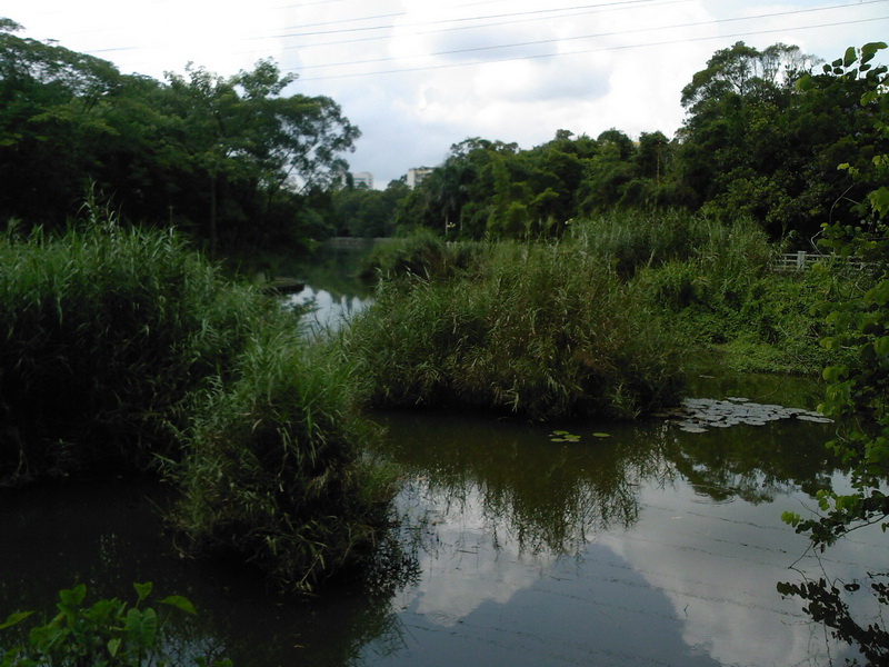SP_A0266.jpg