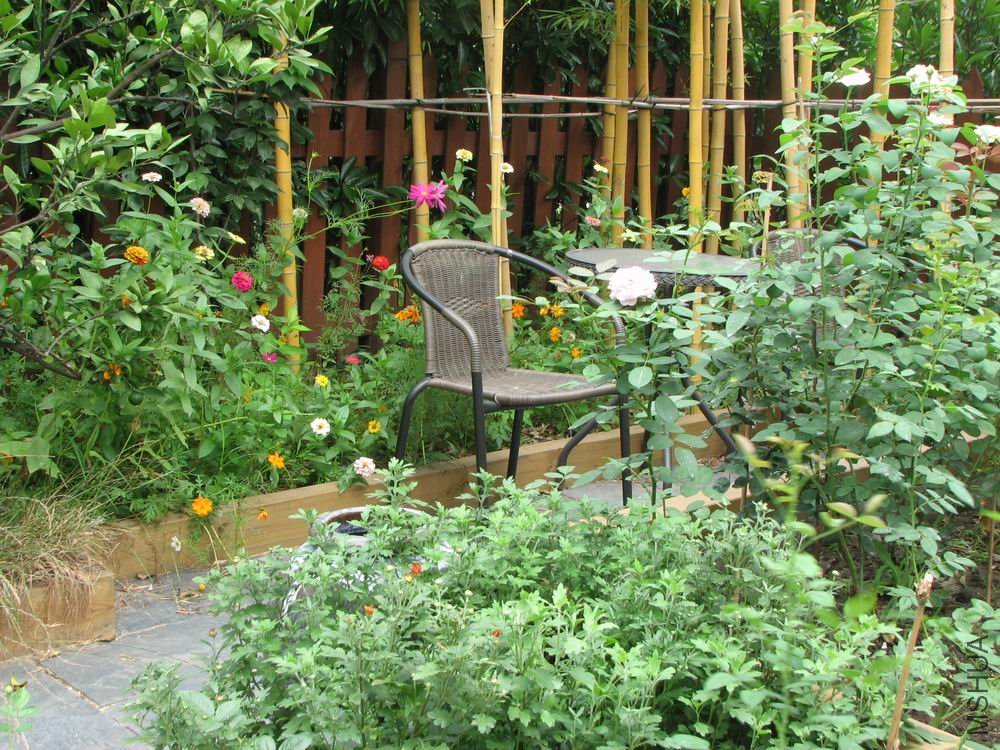 ������С ��Ƭ��԰ 048.jpg