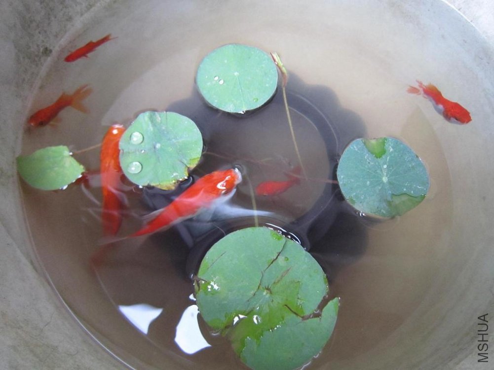 ��Ƭ 015   5.JPG