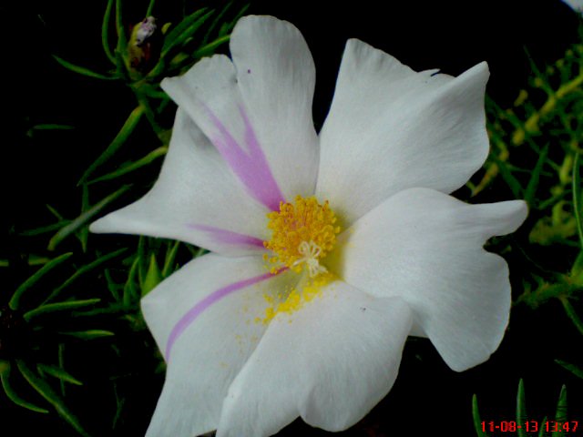 DSC02590.JPG