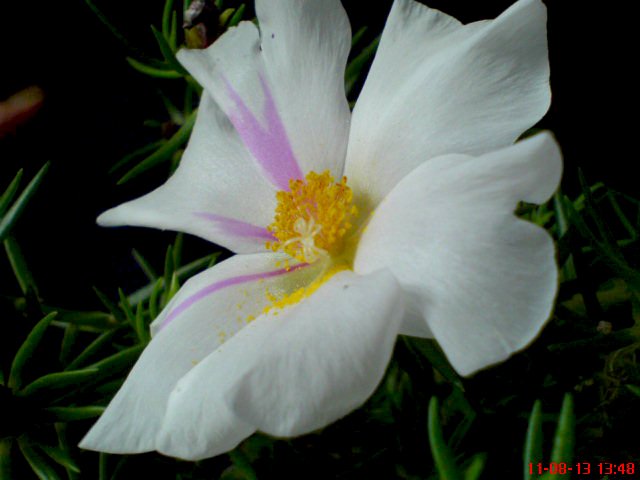 DSC02591.JPG