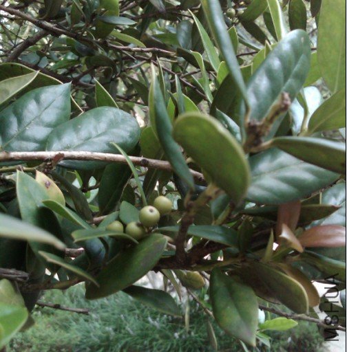 QQ��ͼ20110813185927.jpg