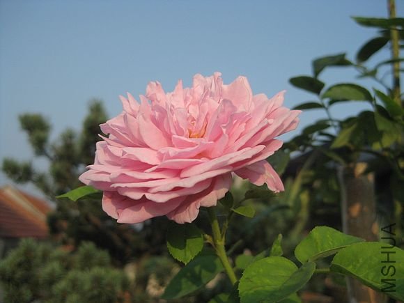 �¼��� 070.jpg