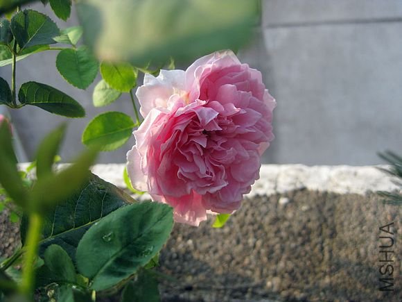 �¼��� 075.jpg