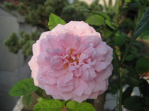 �¼��� 079.jpg