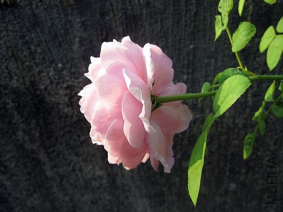 �¼��� 078.jpg