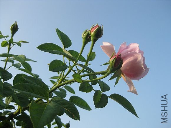 �¼��� 071.jpg