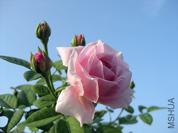 �¼��� 072.jpg