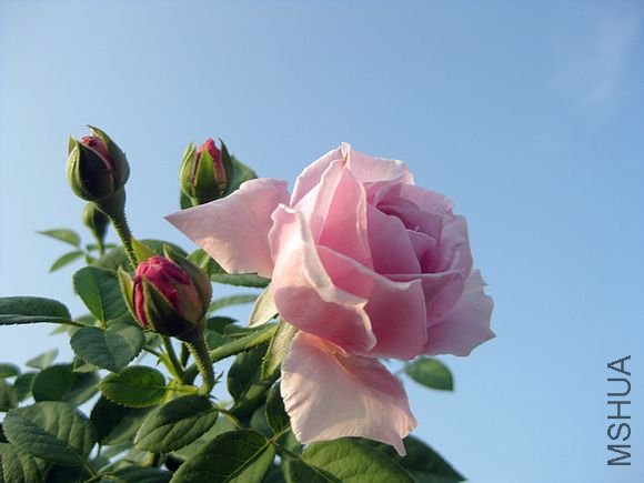 �¼��� 074.jpg