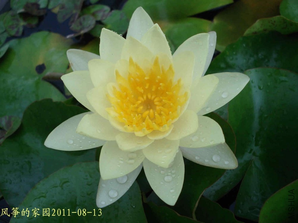 DSC03313.jpg