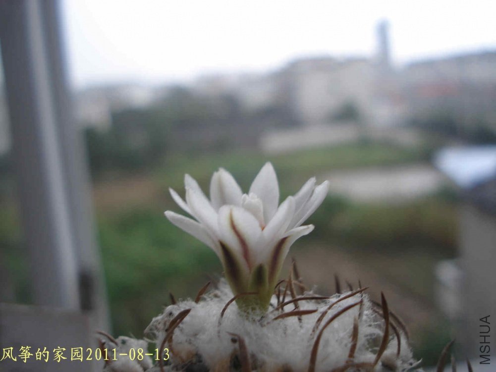 DSC03318.jpg