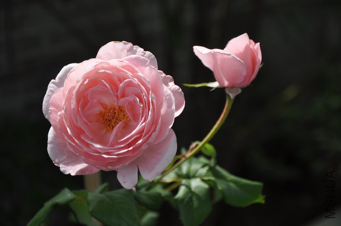 2011.8.14 002�Ǻ���.jpg