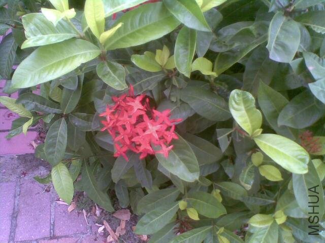 20110813_001_.jpg