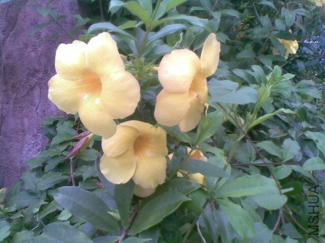 20110813_007_.jpg