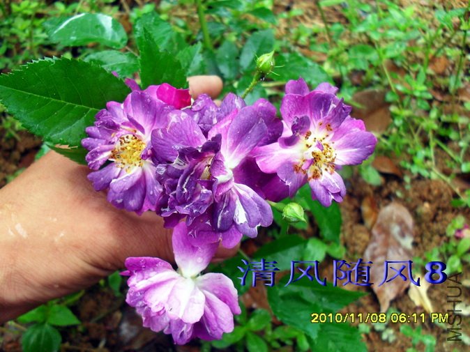 ������ (6).jpg