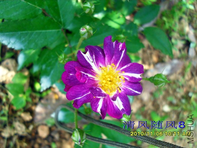 ������ (1).jpg