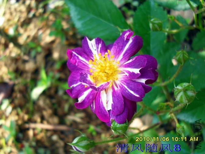 ������ (4).jpg