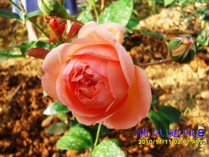 �˼����á�(Heaven on earth) (3).jpg