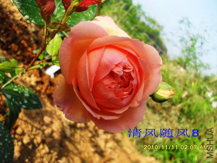 �˼����á�(Heaven on earth) (4).jpg