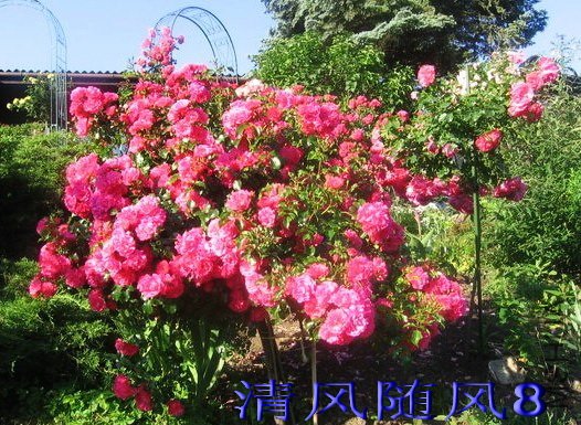 ���µ����� (2).jpg