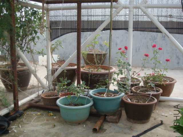 DSC06608.JPG