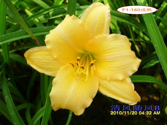 F1-160���� (2).jpg