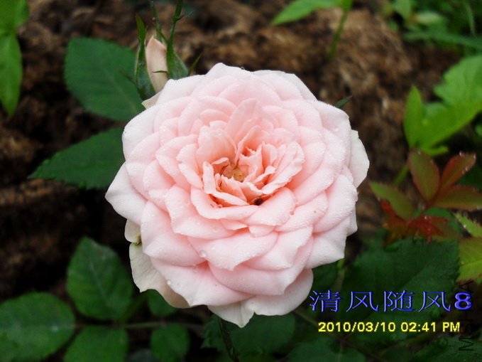 ����Ůʿ (9).jpg