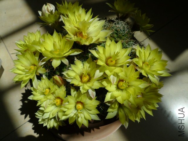 P1040717.JPG