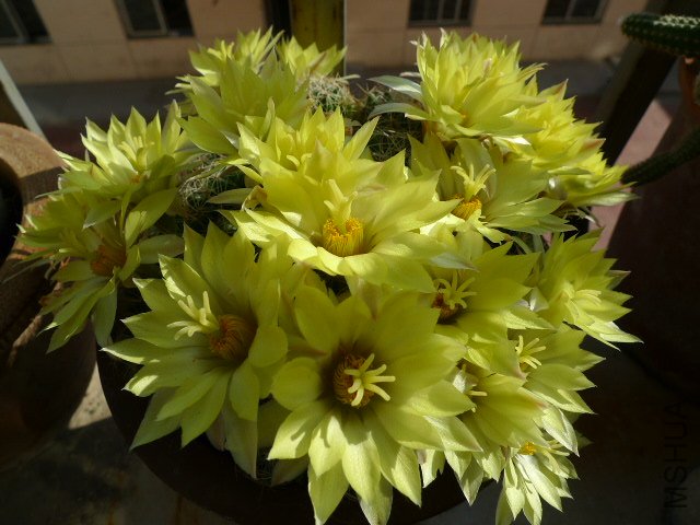 P1040727.JPG