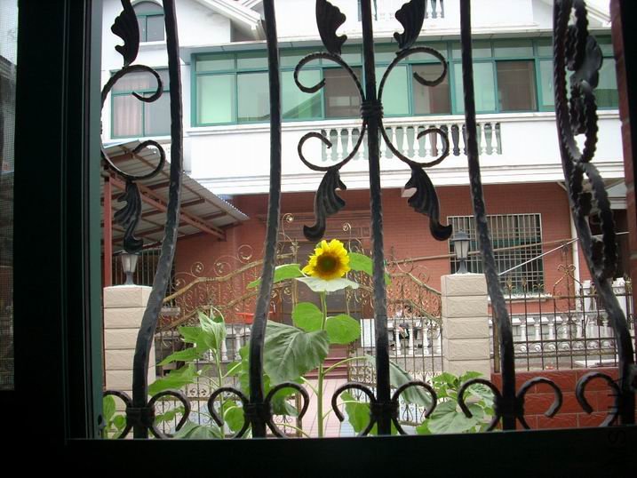 ������С DSCN4460.JPG