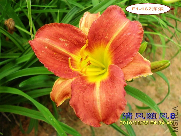 F1-162̽�� (2).jpg