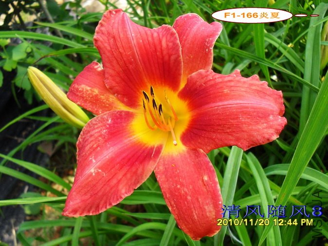 F1-166���� (1).jpg