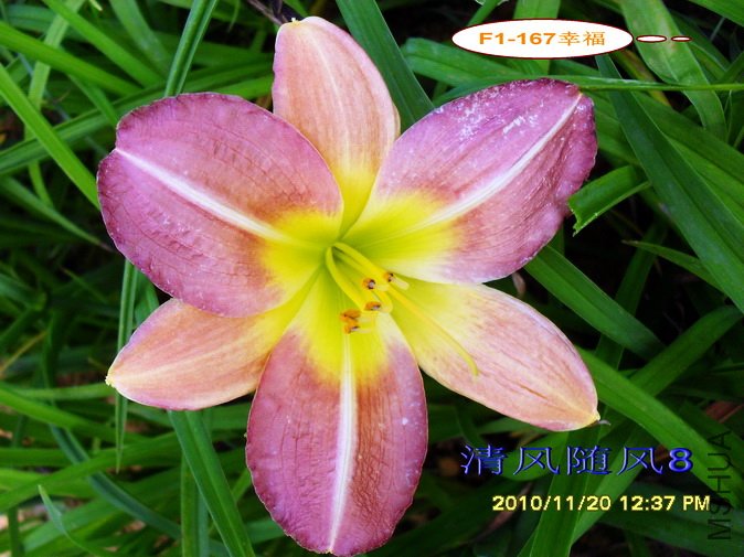 F1-167�Ҹ� (2).jpg