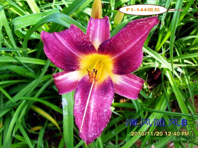 F1-144ģ�� (1).jpg