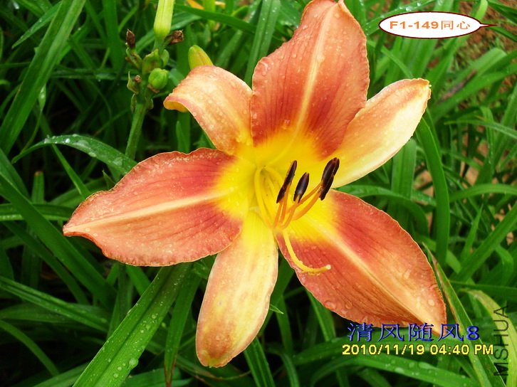 F1-149ͬ�� (1).jpg